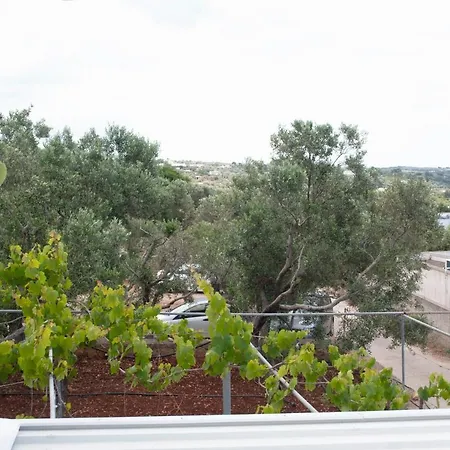 La Mennula Garden شقة