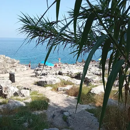 La Mennula Garden *