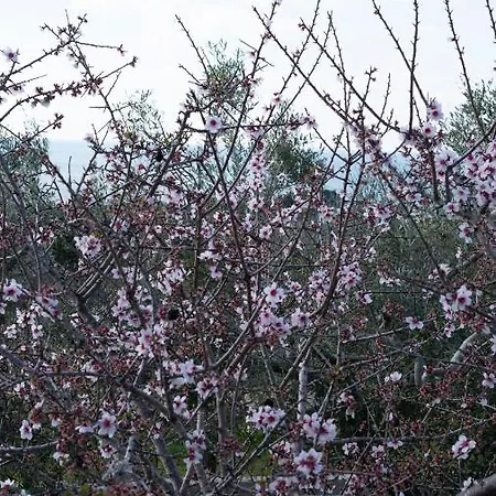La Mennula Garden شقة *